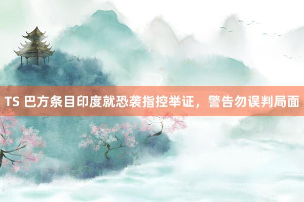 TS 巴方条目印度就恐袭指控举证，警告勿误判局面