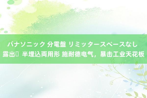 パナソニック 分電盤 リミッタースペースなし 露出・半埋込両用形 施耐德电气，暴击工业天花板