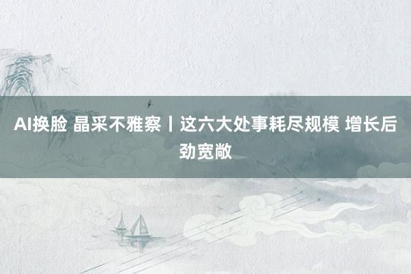 AI换脸 晶采不雅察丨这六大处事耗尽规模 增长后劲宽敞