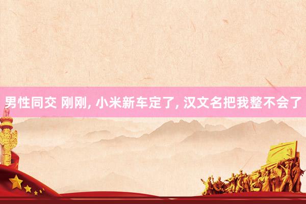 男性同交 刚刚， 小米新车定了， 汉文名把我整不会了