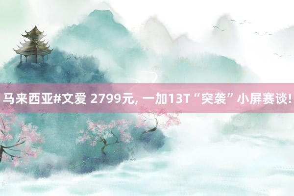 马来西亚#文爱 2799元， 一加13T“突袭”小屏赛谈!