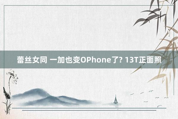 蕾丝女同 一加也变OPhone了? 13T正面照