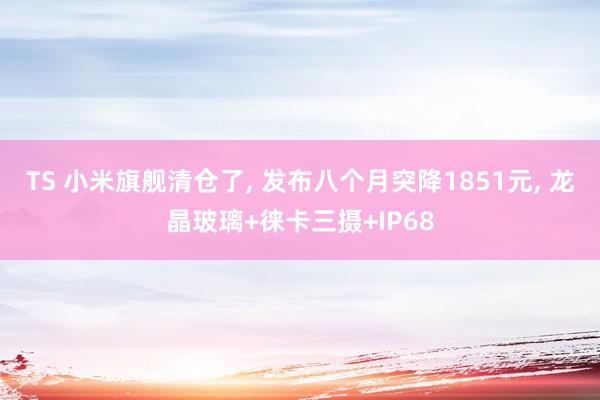 TS 小米旗舰清仓了， 发布八个月突降1851元， 龙晶玻璃+徕卡三摄+IP68