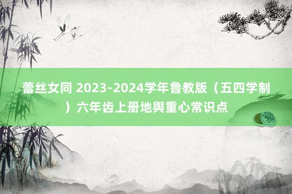 蕾丝女同 2023-2024学年鲁教版（五四学制）六年齿上册地舆重心常识点