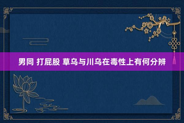 男同 打屁股 草乌与川乌在毒性上有何分辨